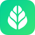 SGreen浏览器官方版