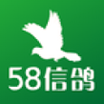 58信鸽安卓版